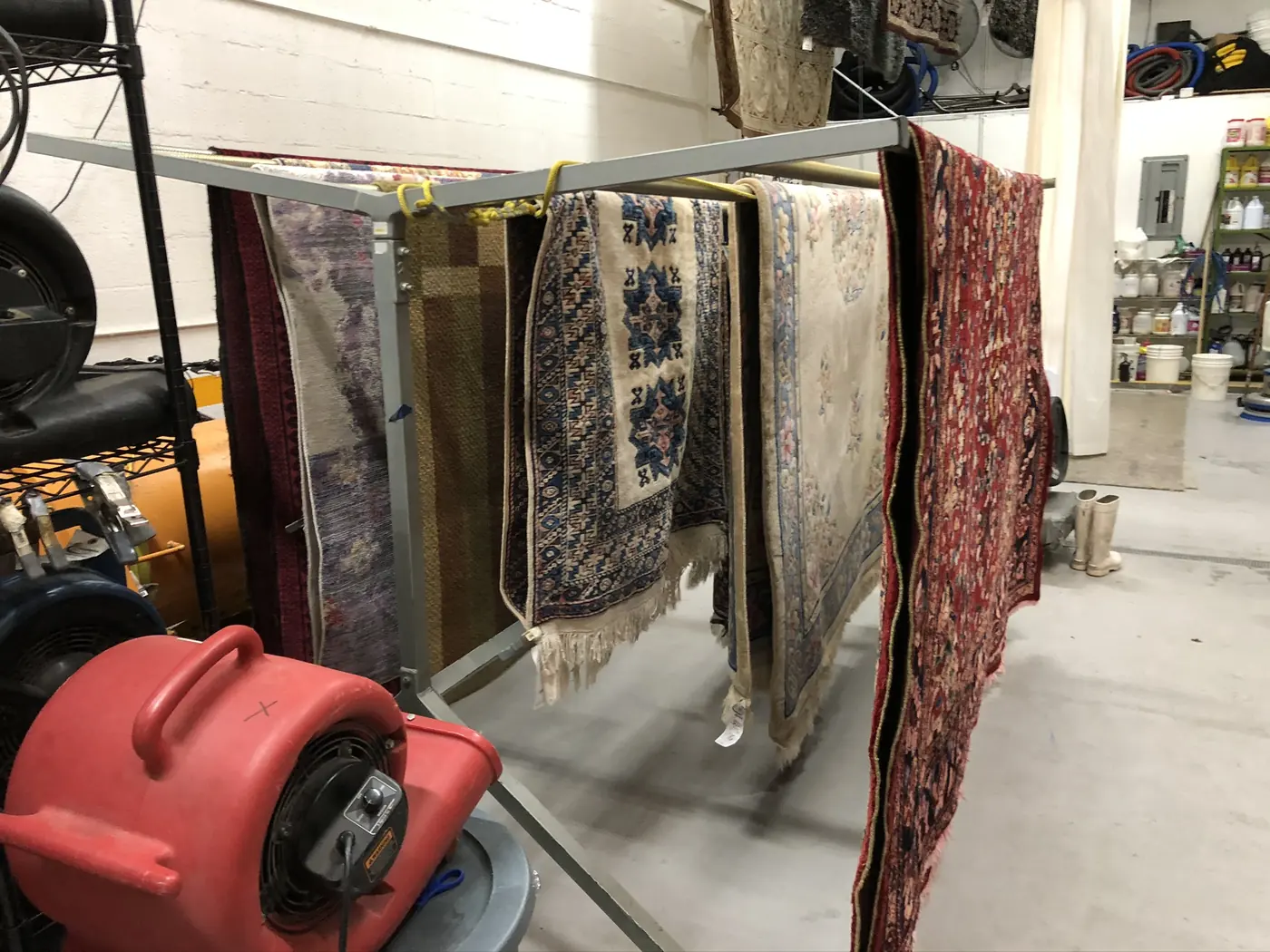 Rugs on drying racks with an air mover running