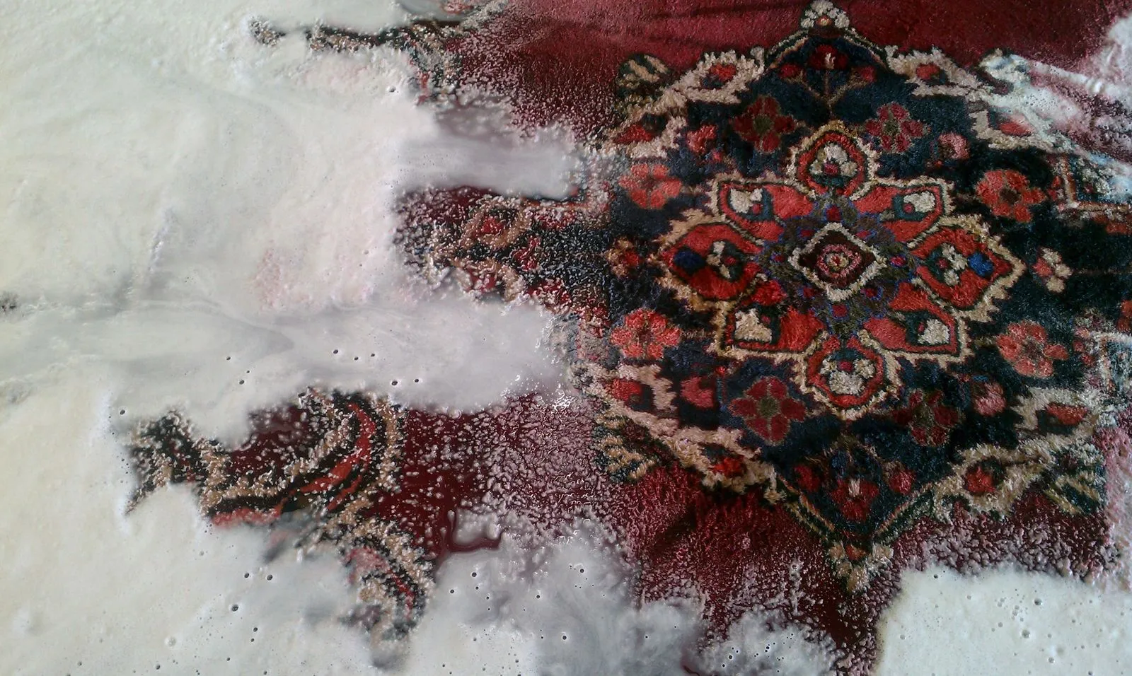 Shampoo suds worked into a red Persian rug on the wash floor